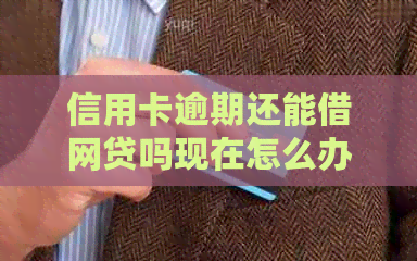 信用卡逾期还能借网贷吗现在怎么办：解决方法和注意事项