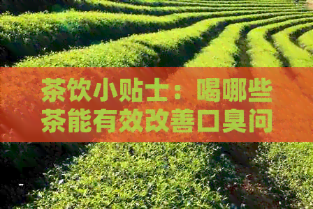 茶饮小贴士：喝哪些茶能有效改善口臭问题，让你清新怡人