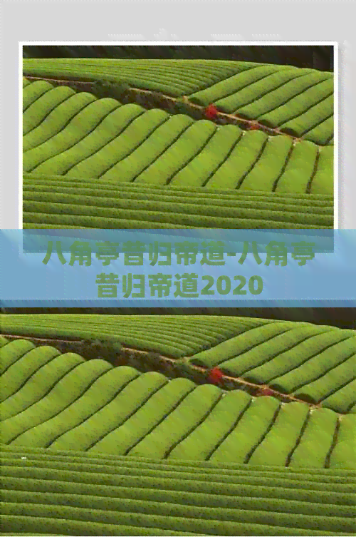 八角亭昔归帝道-八角亭昔归帝道2020