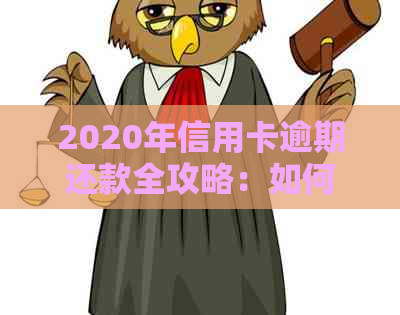 2020年信用卡逾期还款全攻略：如何避免罚息、期利率及影响信用评分？