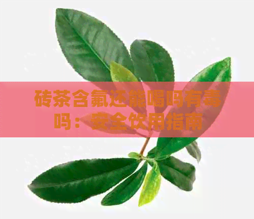 砖茶含氟还能喝吗有吗：安全饮用指南