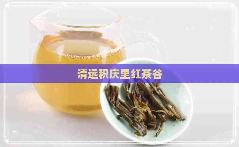 清远积庆里红茶谷