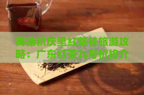 英德积庆里红茶谷旅游攻略：广东红茶九号价格介绍与品尝体验