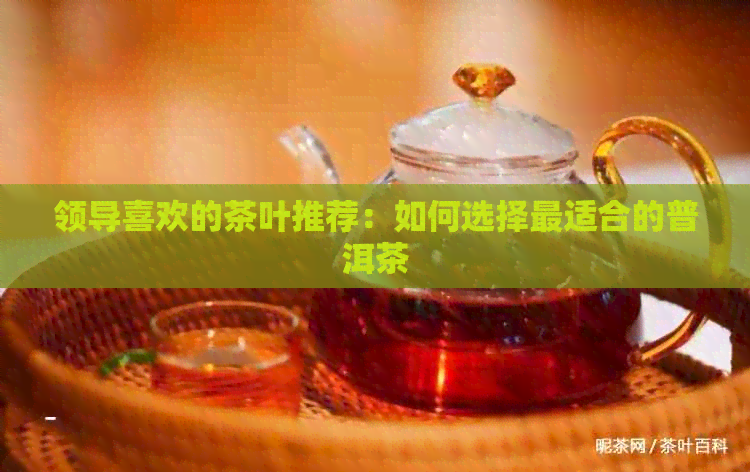 领导喜欢的茶叶推荐：如何选择最适合的普洱茶