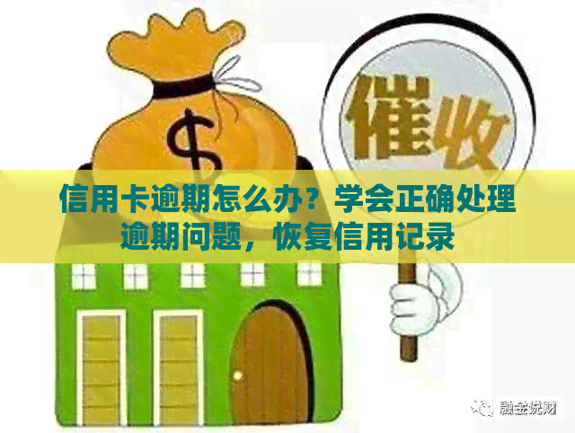 信用卡逾期怎么办？学会正确处理逾期问题，恢复信用记录