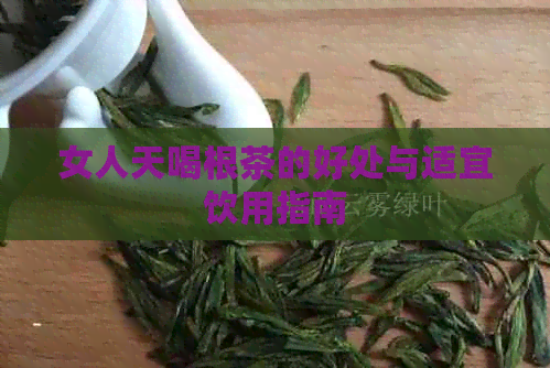 女人天喝根茶的好处与适宜饮用指南