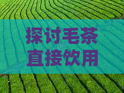 探讨毛茶直接饮用：普洱与毛尖的安全性与口感体验