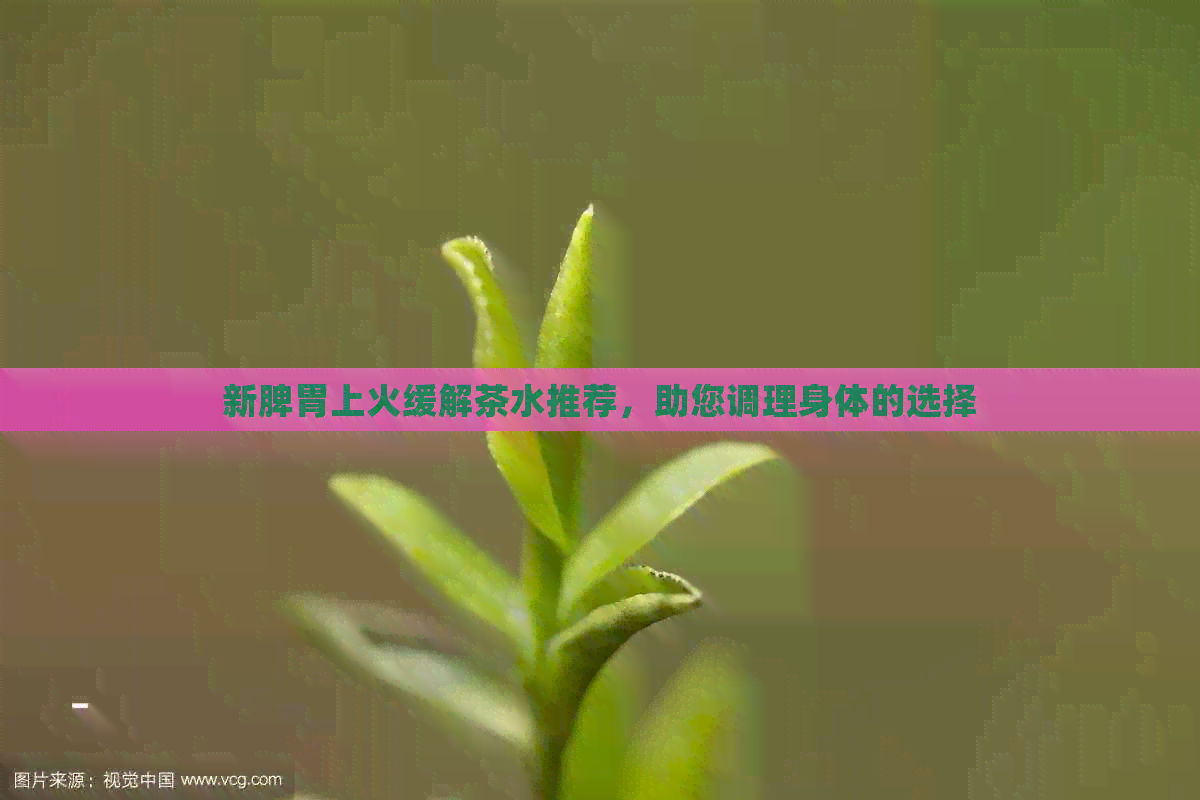 新脾胃上火缓解茶水推荐，助您调理身体的选择