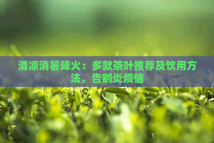 清凉消暑降火：多款茶叶推荐及饮用方法，告别炎烦恼