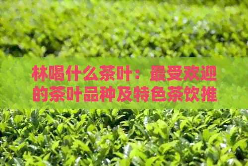 林喝什么茶叶：更受欢迎的茶叶品种及特色茶饮推荐