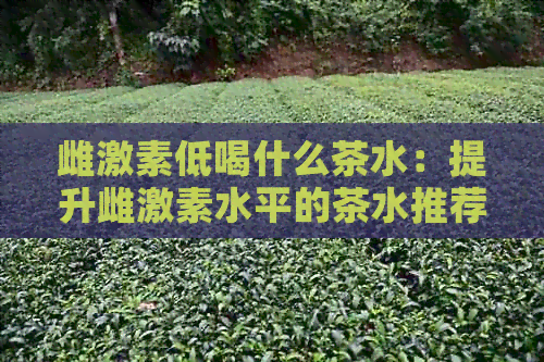 雌激素低喝什么茶水：提升雌激素水平的茶水推荐