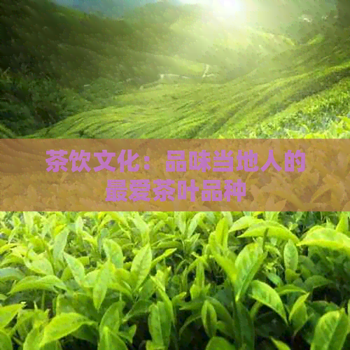 茶饮文化：品味当地人的更爱茶叶品种