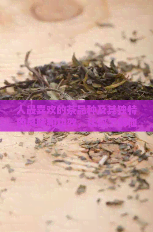 人最喜欢的茶品种及其独特的风味和功效，让你了解他们的茶文化