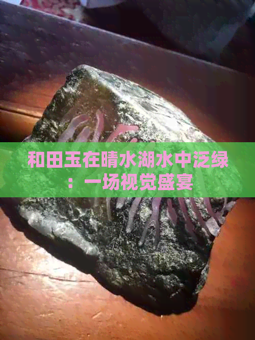 和田玉在晴水湖水中泛绿：一场视觉盛宴