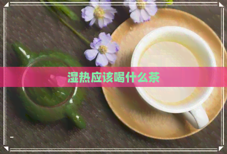 湿热应该喝什么茶