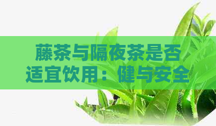 藤茶与隔夜茶是否适宜饮用：健与安全的考量