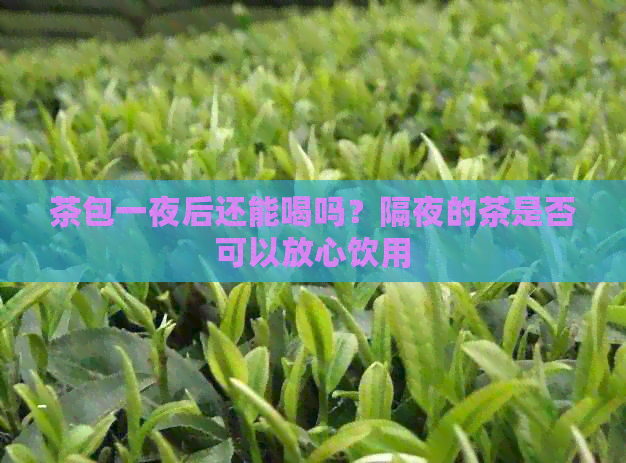 茶包一夜后还能喝吗？隔夜的茶是否可以放心饮用