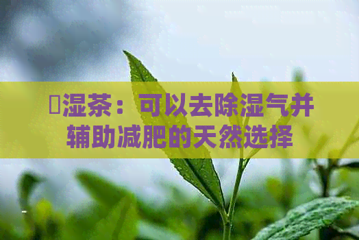 袪湿茶：可以去除湿气并辅助减肥的天然选择