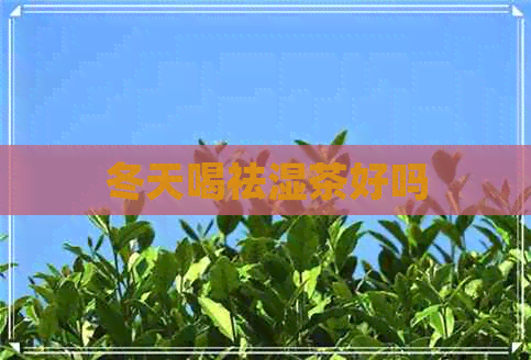 冬天喝祛湿茶好吗