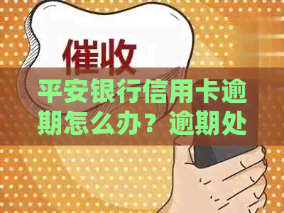 平安银行信用卡逾期怎么办？逾期处理及协商技巧详解