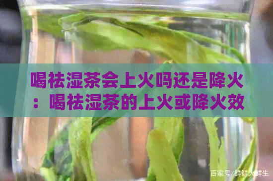 喝祛湿茶会上火吗还是降火：喝祛湿茶的上火或降火效果及应对方法