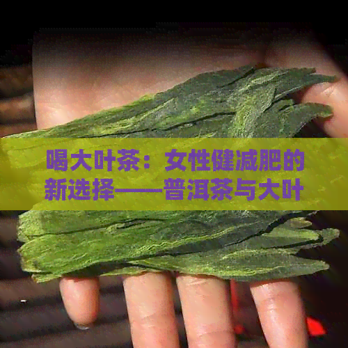 喝大叶茶：女性健减肥的新选择——普洱茶与大叶茶的奥秘