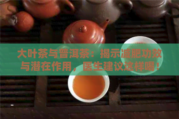 大叶茶与普洱茶：揭示减肥功效与潜在作用，医生建议这样喝！