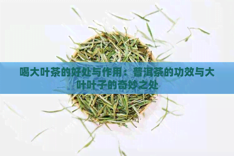 喝大叶茶的好处与作用：普洱茶的功效与大叶叶子的奇妙之处