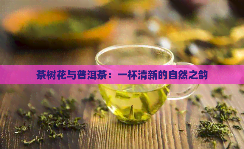 茶树花与普洱茶：一杯清新的自然之韵