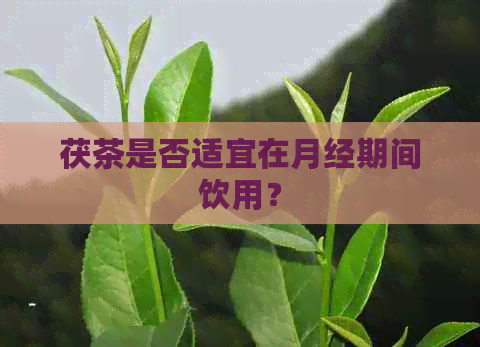 茯茶是否适宜在月经期间饮用？