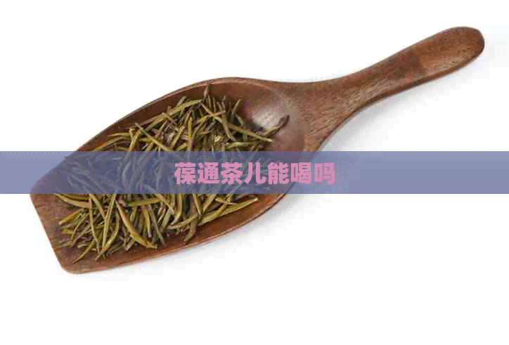 葆通茶儿能喝吗