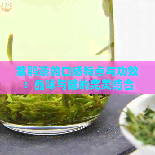 紫鹃茶的口感特点与功效：品味与健的完美结合