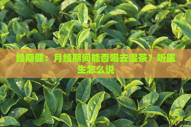 经期健：月经期间能否喝去湿茶？听医生怎么说