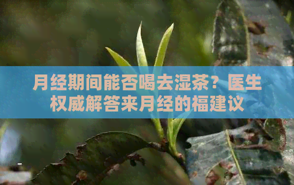 月经期间能否喝去湿茶？医生权威解答来月经的福建议