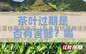 茶叶过期是否有害健？喝了会对人体造成哪些影响？医生告诉你真相！