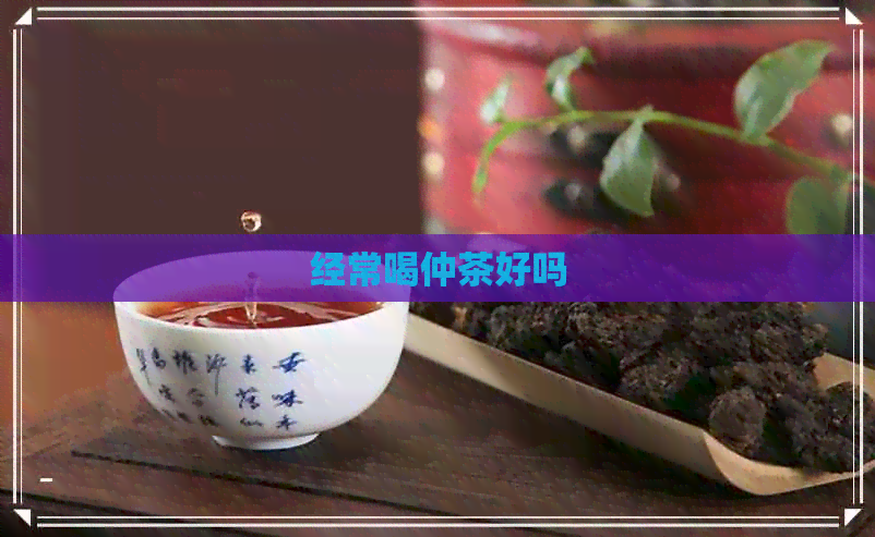 经常喝仲茶好吗