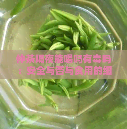 仲茶隔夜能喝吗有吗：安全与否与食用的细节