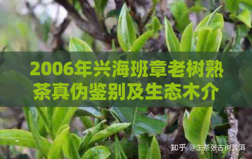 2006年兴海班章老树熟茶真伪鉴别及生态木介绍