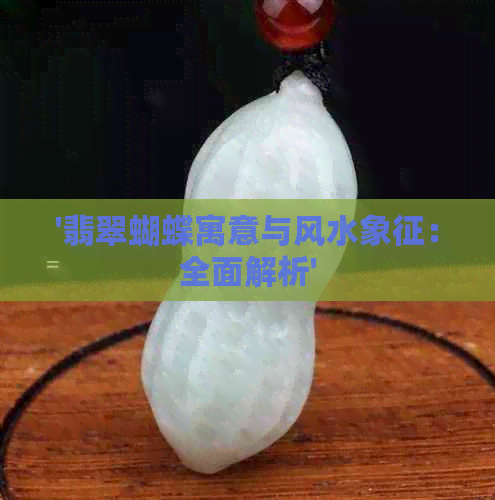 '翡翠蝴蝶寓意与风水象征：全面解析'