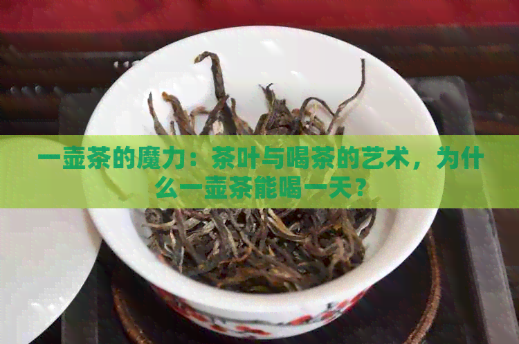 一壶茶的魔力：茶叶与喝茶的艺术，为什么一壶茶能喝一天？