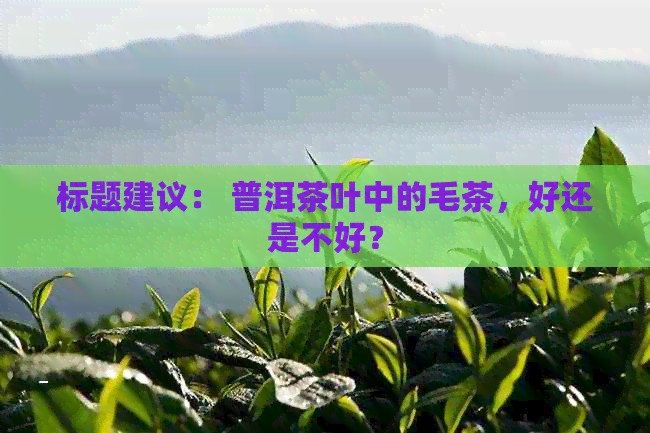 标题建议： 普洱茶叶中的毛茶，好还是不好？