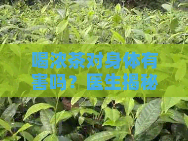 喝浓茶对身体有害吗？医生揭秘浓茶的危害与预防措