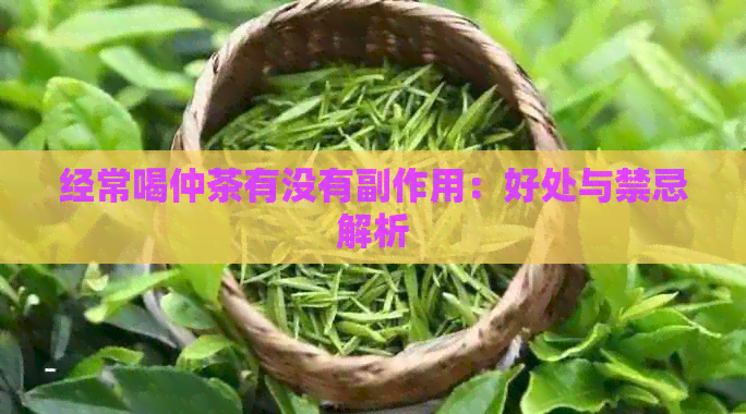 经常喝仲茶有没有副作用：好处与禁忌解析