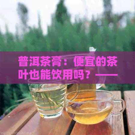 普洱茶膏：便宜的茶叶也能饮用吗？——一个关于普洱茶的探索