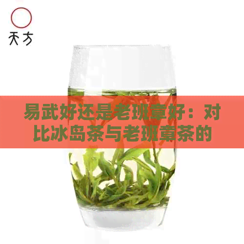 易武好还是老班章好：对比冰岛茶与老班章茶的品质差异