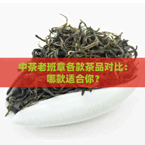 中茶老班章各款茶品对比：哪款适合你？