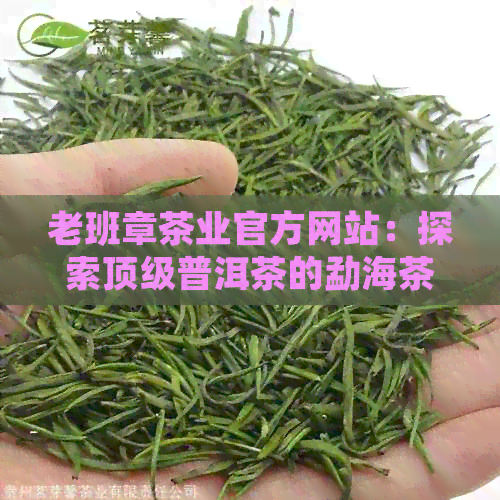 老班章茶业官方网站：探索顶级普洱茶的勐海茶厂