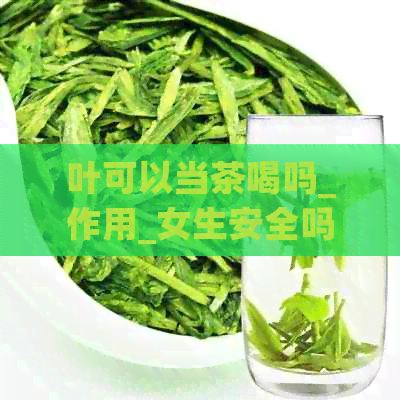 叶可以当茶喝吗_作用_女生安全吗_百度百科详解