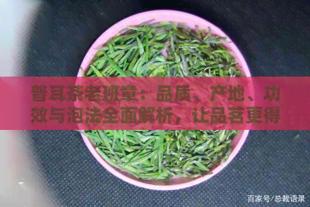 普耳茶老班章：品质、产地、功效与泡法全面解析，让品茗更得心应手