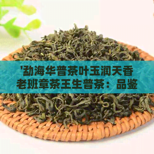 '勐海华普茶叶玉润天香老班章茶王生普茶：品鉴详情与评价'